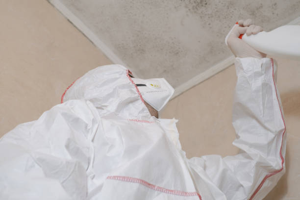 Best Mold Damage Restoration  in Hiller, PA